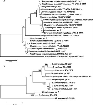 Plant-Growth Promotion and Biocontrol Properties of Three Streptomyces spp. Isolates to Control Bacterial Rice Pathogens